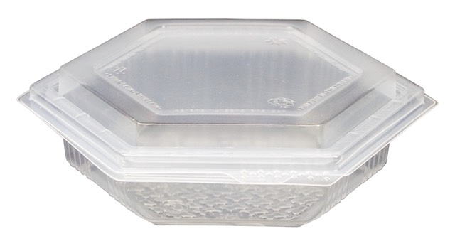 Caixa Plástica Mani PP M-5000 250ml 60un.